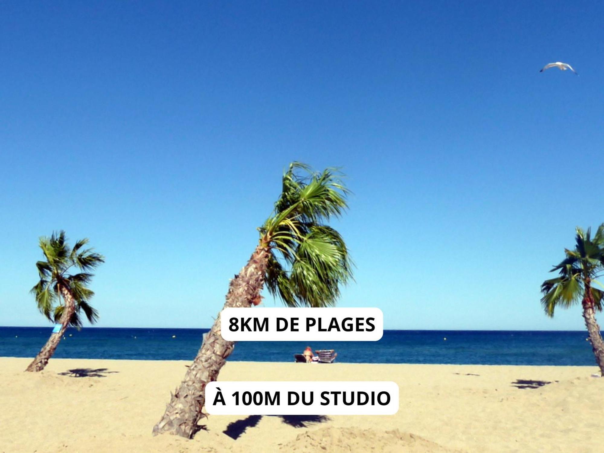 Appartement A 100M De La Plage - Terrasse & Parking Prive Le Barcarès Exterior foto